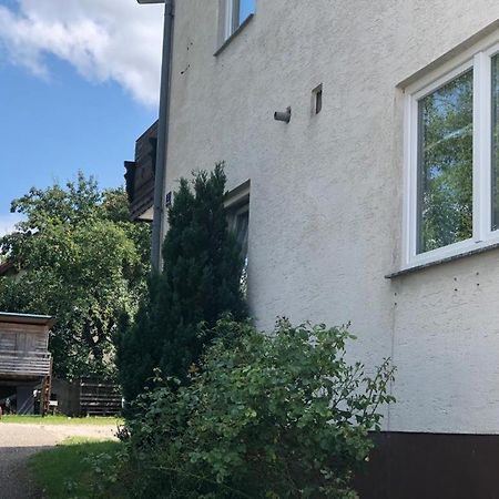 Gruener Baum Ferienwohnung Gampern Eksteriør billede