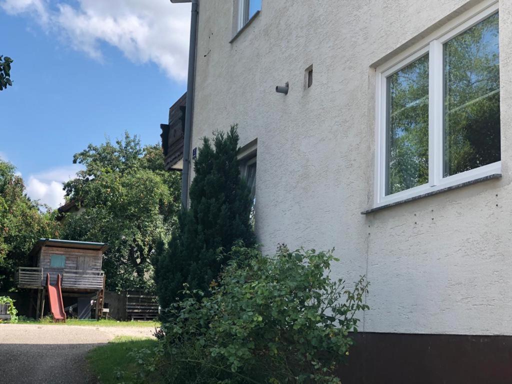 Gruener Baum Ferienwohnung Gampern Eksteriør billede